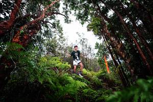 BIB: 
                            <button type="button" onclick="openModal(26203115)" class="btn btn-primary btn-sm float-right btn-popup" data-toggle="modal" data-target=".modal-high-quality">
                        <i class="fas fa-shopping-cart"></i> Add to Cart
                    </button>
                                            <button type="button" onclick="isThisMe(26203115, true)" class="btn btn-success btn-sm float-right btn-popup btn-isme hidden" data-toggle="tooltip" data-placement="bottom" title="นี่คือรูปของคุณใช่ไหม คลิกที่นี่เพื่อเอาเข้าอัลบั้ม">
                        <i class="fas fa-plus"></i> Add to album
                    </button>
                    <button type="button" onclick="isThisMe(26203115, false)" class="btn btn-warning btn-sm float-right btn-popup btn-isnotme hidden">
                        <i class="fas fa-ban"></i> Remove from album
                    </button>